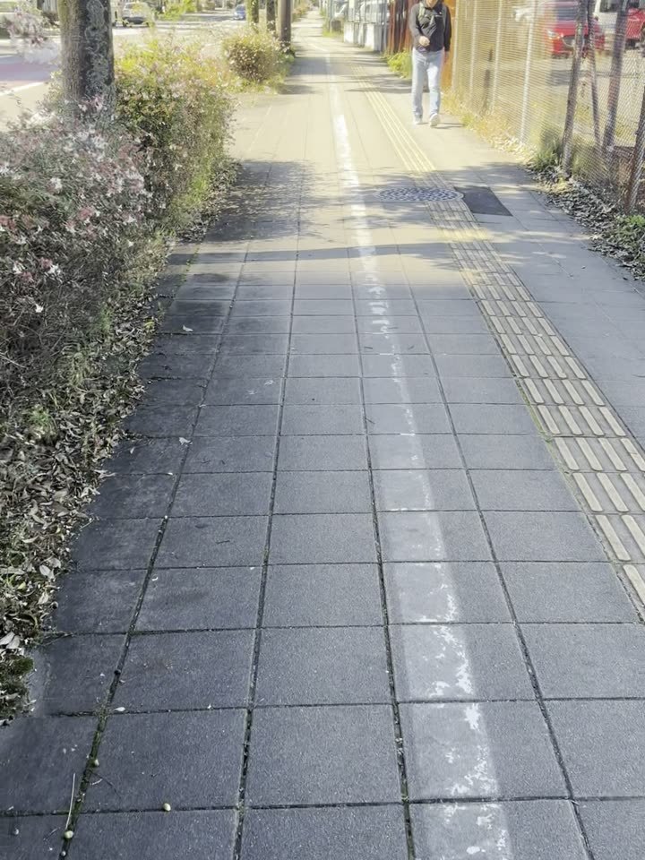 並木の歩道に入ります。